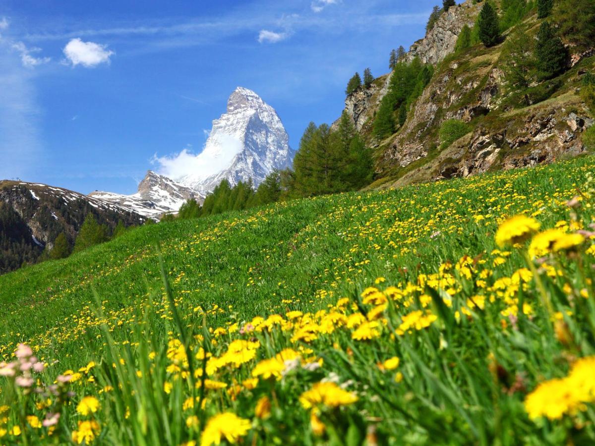 Apartment Select By Interhome Zermatt Kültér fotó
